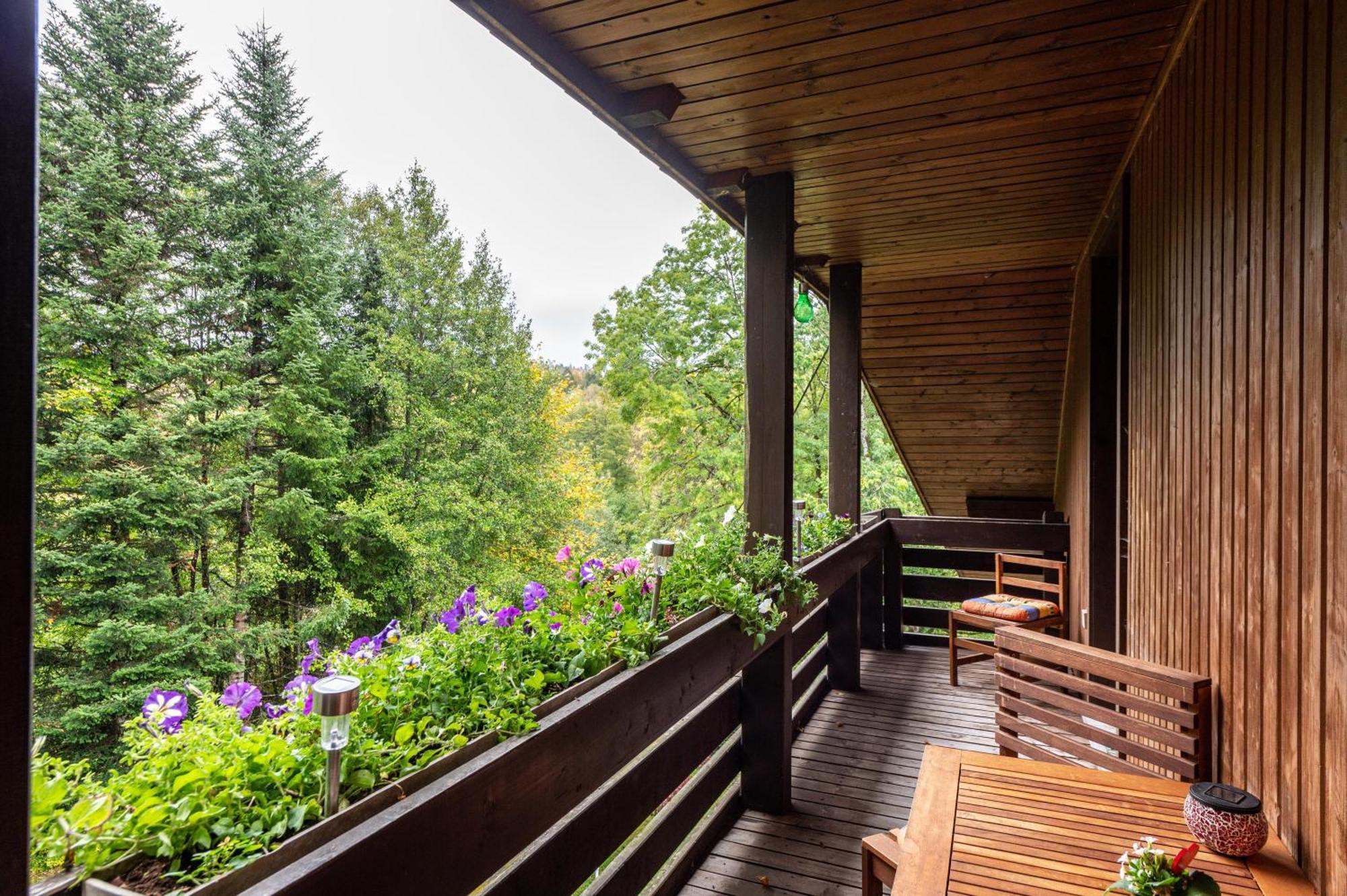 Landhaus Am Schmiedebach Wittenschwand エクステリア 写真