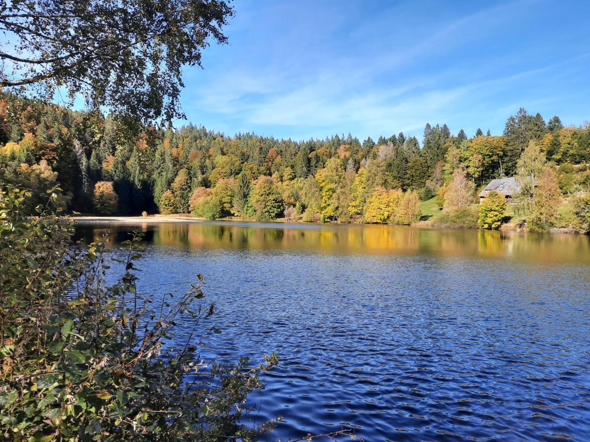 Landhaus Am Schmiedebach Wittenschwand エクステリア 写真